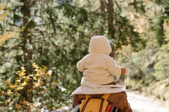 Family-Friendly Nature Hike around the Big Bear Valley - Why It’s a Great Value
