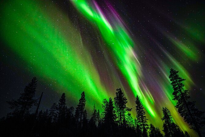 Family-Friendly: Northern Lights Adventure from Rovaniemi - Family-Friendly: Northern Lights Adventure from Rovaniemi — A Bright Idea for All Ages
