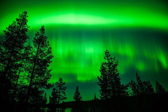 Family-Friendly: Northern Lights Adventure from Rovaniemi - The Value — Is It Worth It?