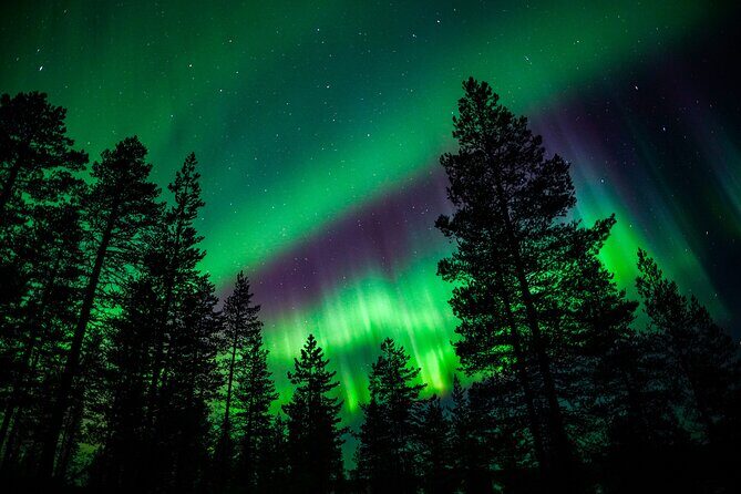 Family-Friendly: Northern Lights Adventure from Rovaniemi - Who Should Book This Tour?
