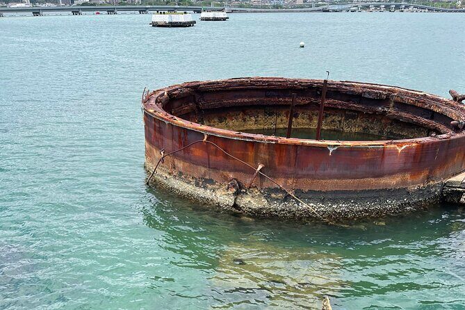 Family-friendly Pearl Harbor and Honolulu Downtown with private transportation - Who is this tour best suited for?