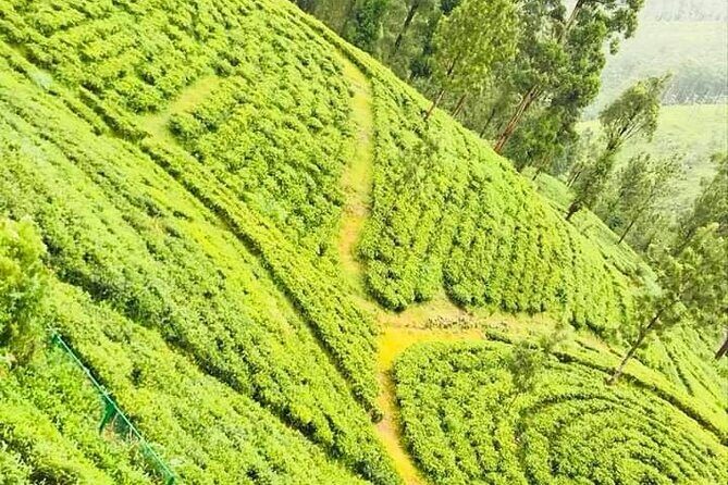 Family-Friendly Private Galle City Tour - Final Thoughts