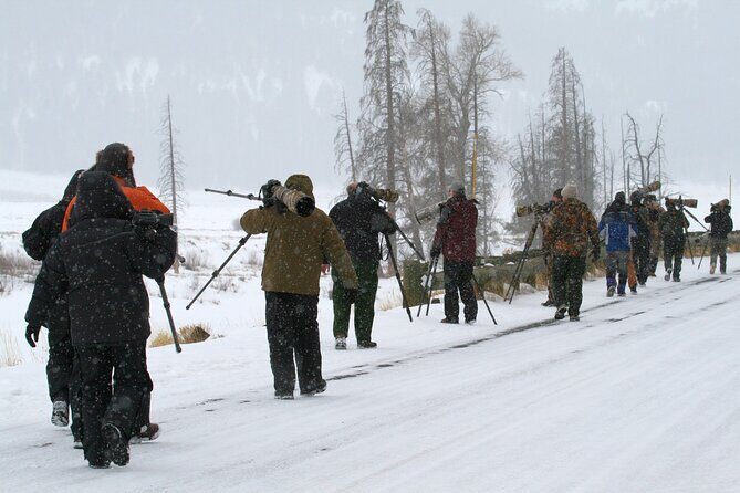 Family Friendly Private Tour at Yellowstone National Park w/Lunch - What People Say