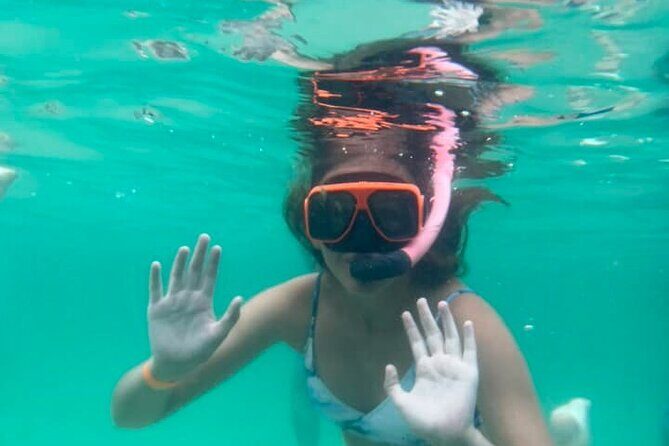 Family-Friendly Snorkeling and Dolphin Tour from FWB - The Sum Up