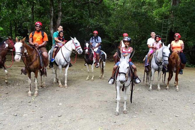 Family Fun Four Pack Combo - Who Should Consider This Tour?