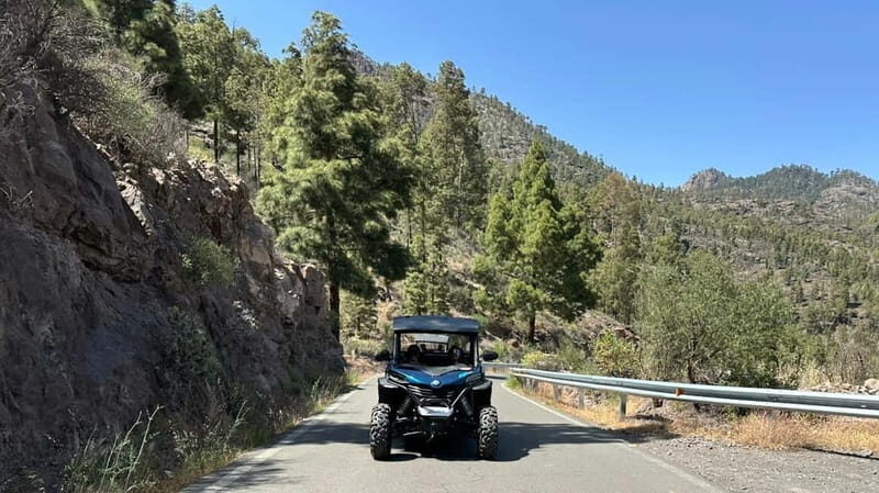 FAMILY FUN MONSTER BUGGY TOUR - Final Thoughts