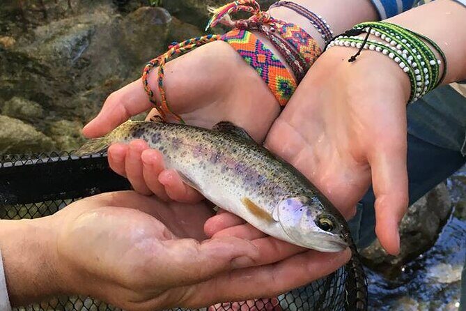 Family Fun Private Half Day Fly Fishing Adventure - Key Points