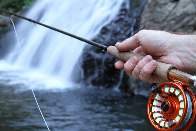 Family Fun Private Half Day Fly Fishing Adventure - A Closer Look at the Yosemite Fly Fishing Adventure