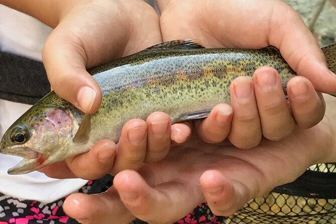 Family Fun Private Half Day Fly Fishing Adventure - FAQs