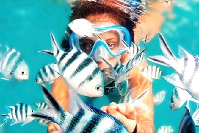 Family Fun-Snorkeling with Lunch Stop from Montego Bay - What Makes This Tour Stand Out?