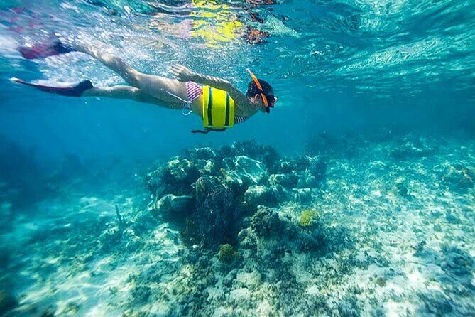 Family Fun-Snorkeling with Lunch Stop from Montego Bay - Who Will Love This Tour?
