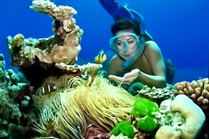 Family Fun-Snorkeling with Lunch Stop from Montego Bay - FAQ