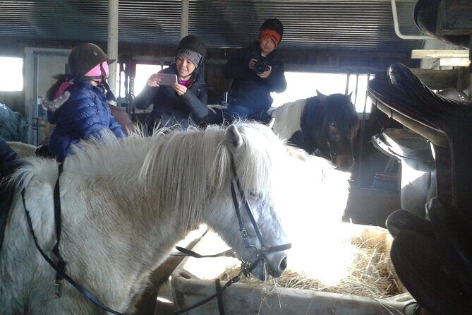 Family Horse Riding Tour in Thorlakshofn - Exploring the Thorlakshofn Horse Riding Tour: What to Expect