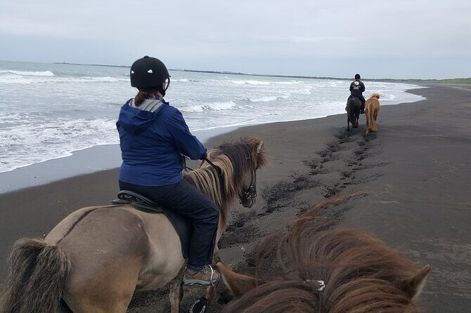 Family Horse Riding Tour in Thorlakshofn - The Details: Itinerary and Highlights
