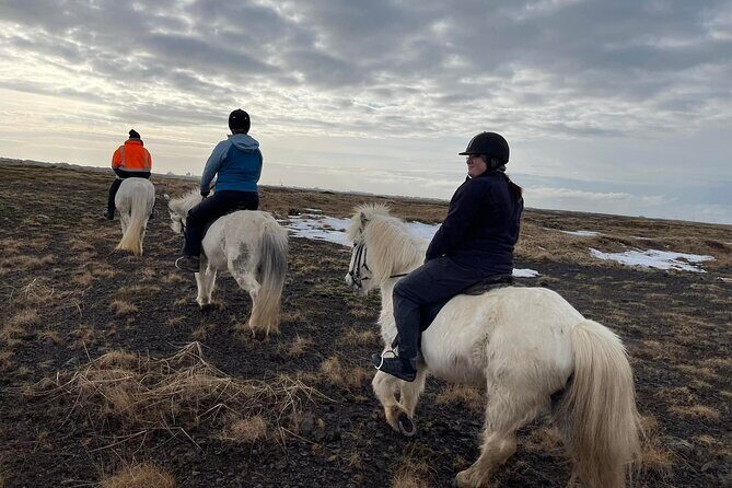 Family Horse Riding Tour in Thorlakshofn - FAQ