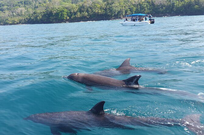 Family Package Private Fishing and Snorkeling - Key Points