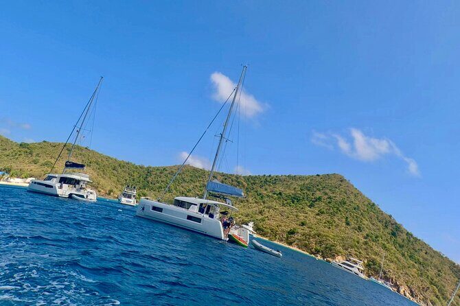 Family Snorkel Safari. Private boat! - Wrapping It Up