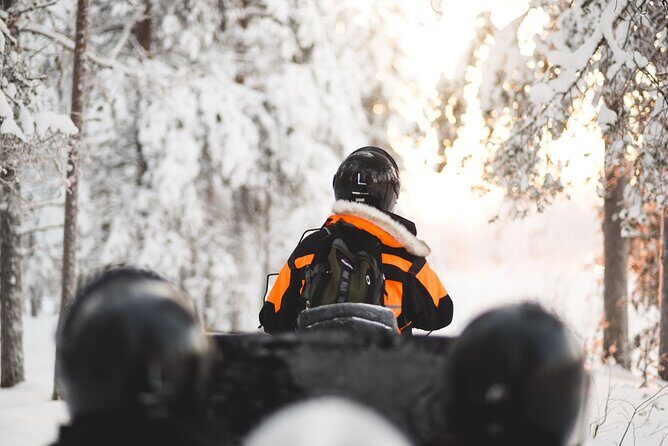 Family Snowmobile Safari from Santa Claus Village - Key Points
