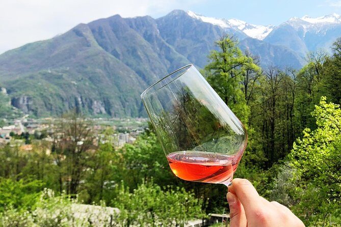 Family tasting - A little tasting - Exploring the Charm of a Family-Run Wine Tasting Near Lake Maggiore