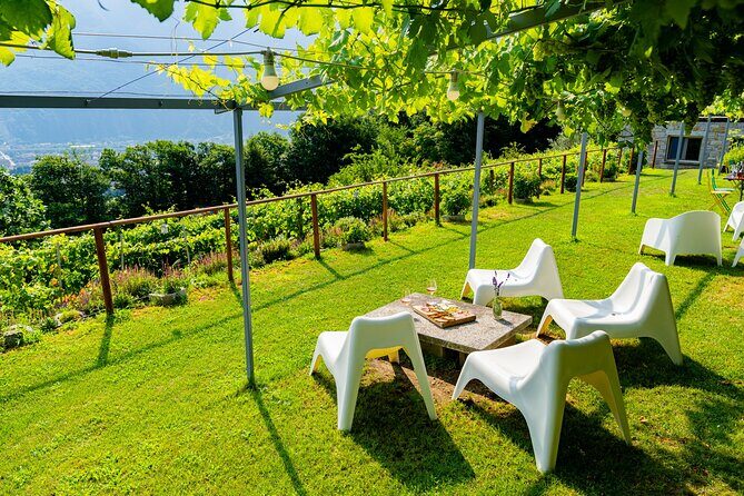 Family tasting - A little tasting - Frequently Asked Questions