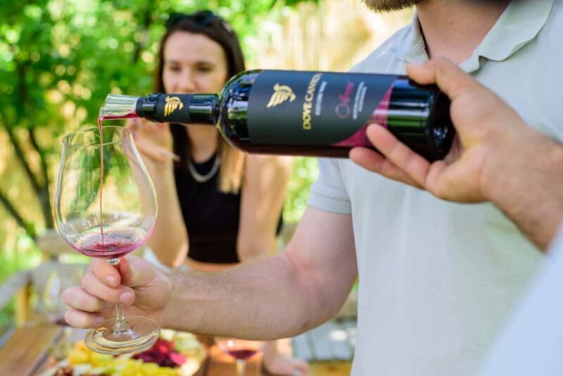 Family Village Winery Tour & Tasting in Aghavnadzor - Who Will Love This Experience?