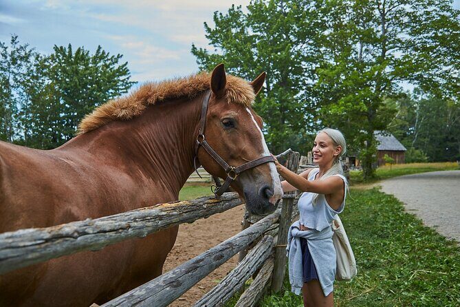 Family visit to the Acadian Historic Village - FAQs