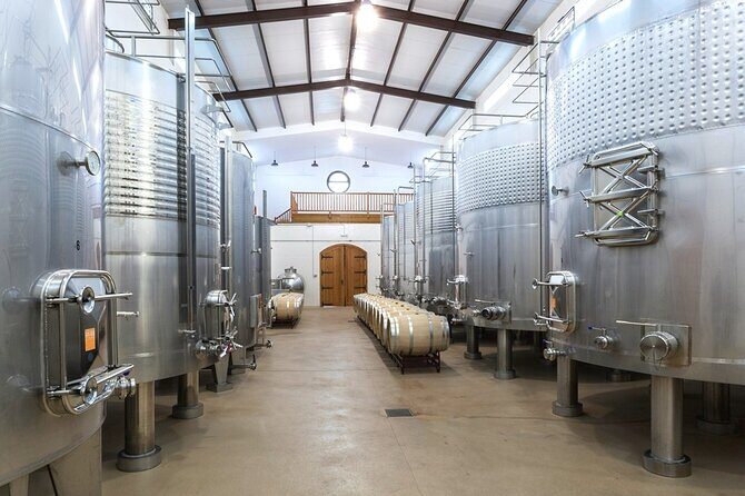 Family winery visit with food - Value Analysis: Is It Worth It?