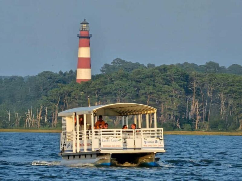 Famous Chincoteague Pony Cruise with Expert Narration - Practical Details and Tips