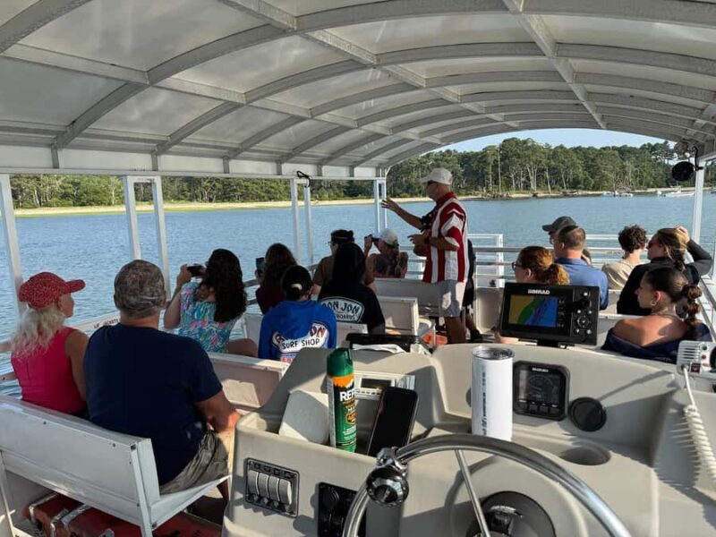 Famous Chincoteague Pony Cruise with Expert Narration - Why Choose This Tour?