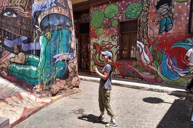 Famous Valparaíso! Premium Walking Tour with a Native Guide - Who Will Love This Tour?