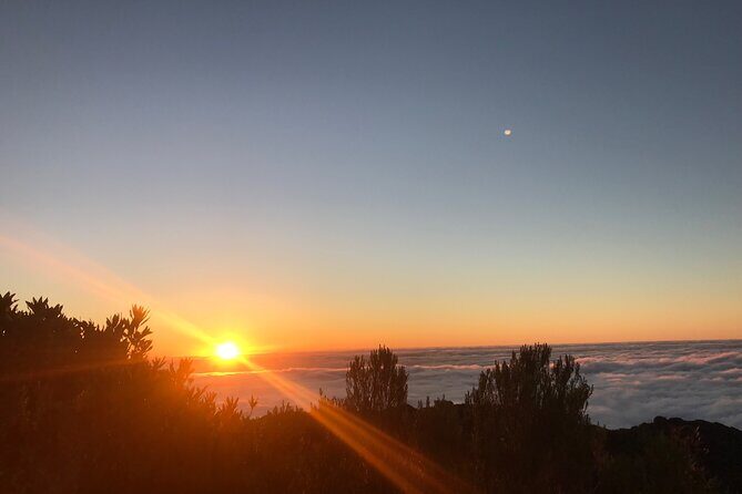 Fanal Forest Private Sunset Hike - In-Depth Review of the Fanal Forest Private Sunset Hike