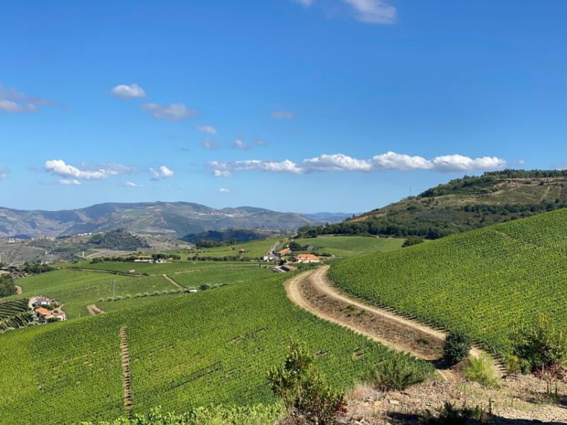 Fancy Douro from Porto - private walk + lunch + wines - Discover the True Douro: Private Walk, Wine, and Gourmet Lunch from Porto