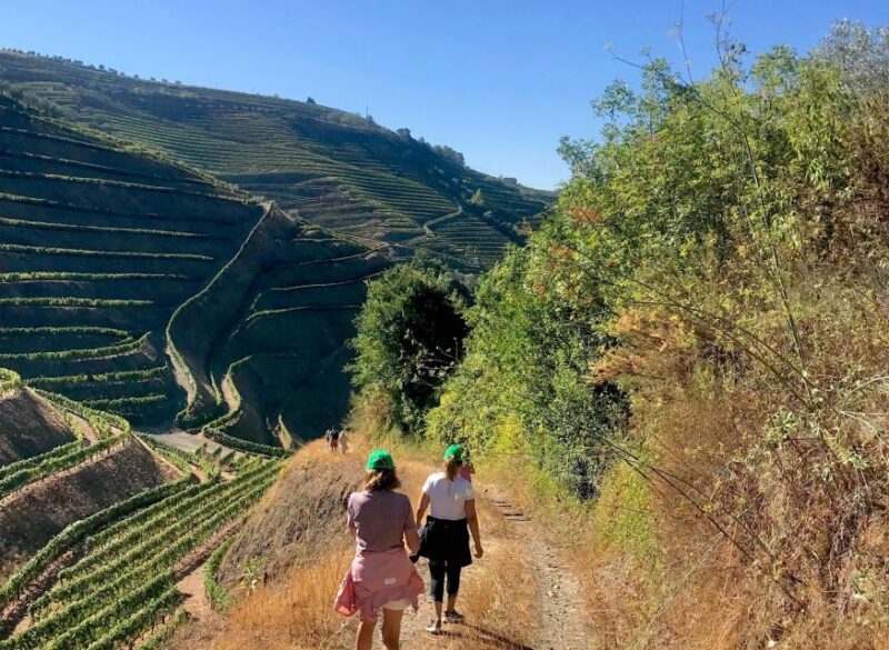 Fancy Douro from Porto - private walk + lunch + wines - Visiting One of Douro’s Most Awarded Wineries
