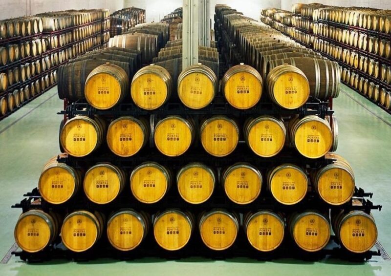 Fancy Douro from Porto - private walk + lunch + wines - Authenticity and Intimate Atmosphere