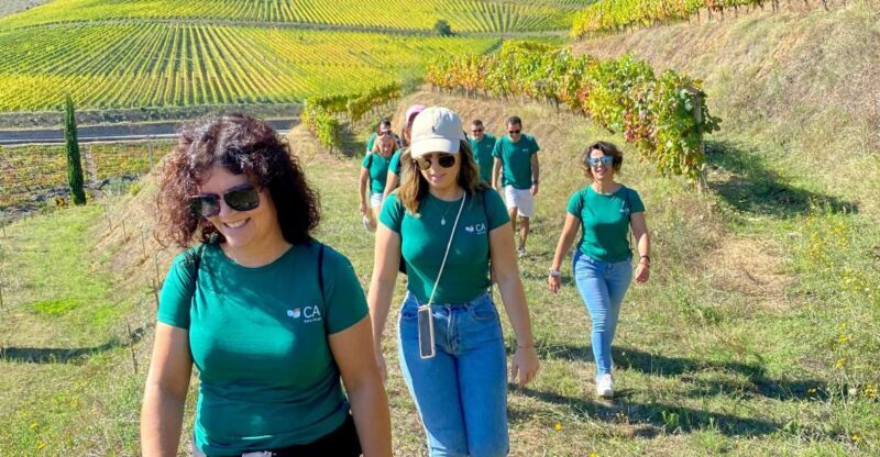 Fancy Douro from Porto - private walk + lunch + wines - Who Will Love This Tour?