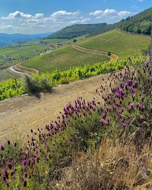 Fancy Douro from Porto - private walk + lunch + wines - The Sum Up
