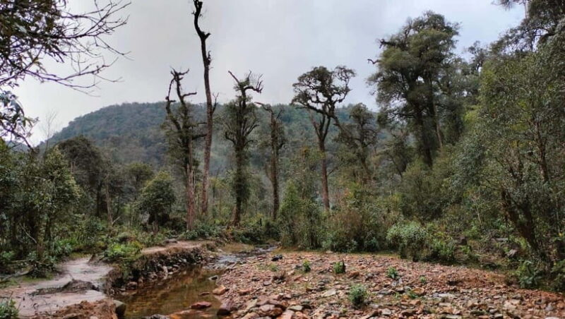 Fansipan Mountain 1-Day Trekking Tour - Fansipan Mountain 1-Day Trekking Tour: An Authentic Adventure in Vietnam