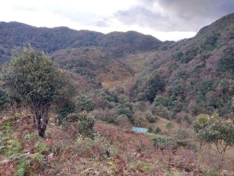 Fansipan Mountain 1-Day Trekking Tour - FAQs