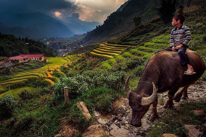 Fansipan Peak And Cat Cat Village In 2D1N From Hanoi - An In-Depth Look at the Fansipan and Sapa Experience