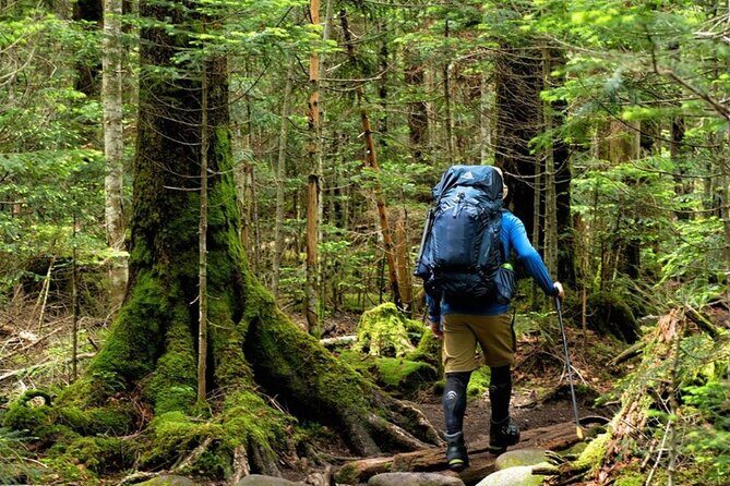 Fansipan Trek One Day Tour  Roof of Indochina - A Deep Dive into the Fansipan Experience