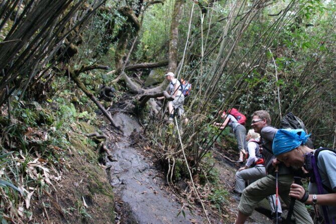 Fansipan Trek One Day Tour  Roof of Indochina - In The Sum Up: Is It Worth It?
