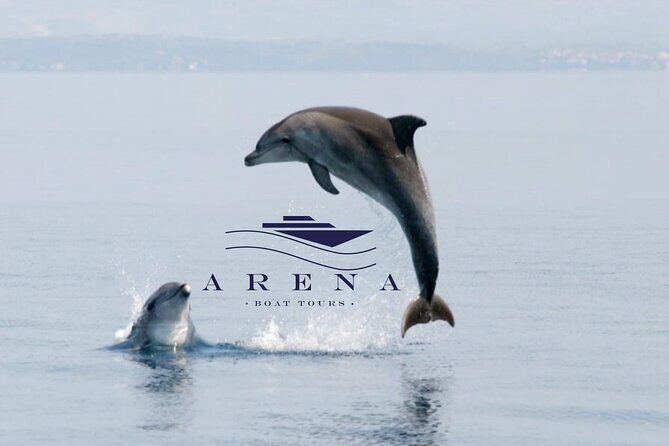 Fantastic DOLPHIN & SUNSET TOUR with dinner (Pula - NP BRIJUNI) - Introduction to the Experience