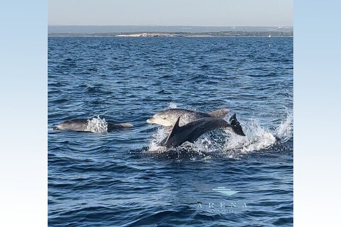 Fantastic DOLPHIN & SUNSET TOUR with dinner (Pula - NP BRIJUNI) - Authentic Reviews and Guest Perspectives