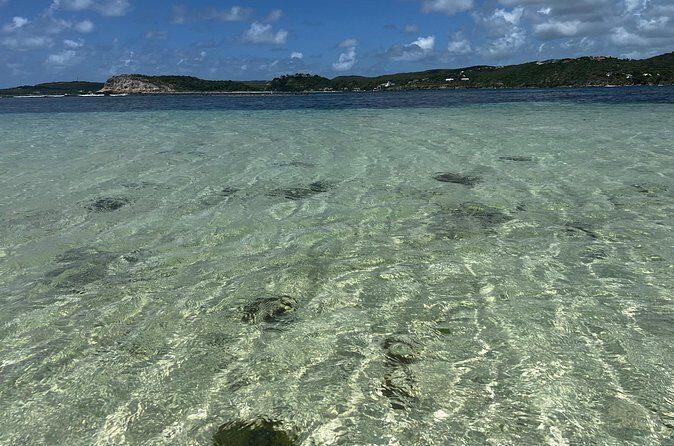FANTASTIC Green Island and Sea Turtles - Half Day share boat trip - Practical Details and Tips