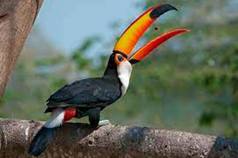 Fantastic jungle 3 days 2 nights - Key Points