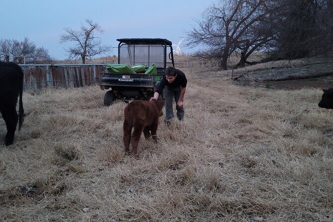 Farm Adventure Experience in Red Hill Ranch - Farm Adventure Experience in Red Hill Ranch