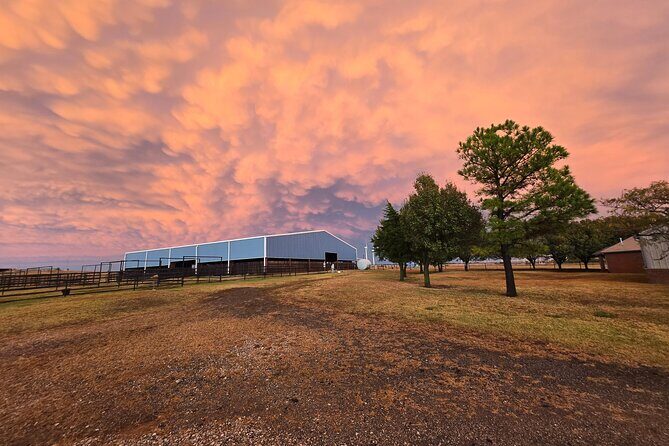 Farm Adventure Experience in Red Hill Ranch - Final Thoughts: Who Will Love This?