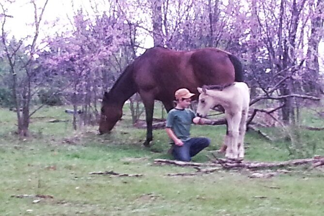 Farm Adventure Experience in Red Hill Ranch - FAQ