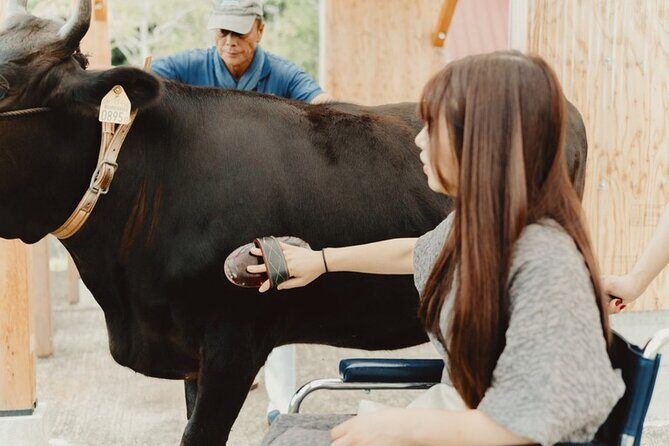 Farm Park Food Education Experience with Tajima Beef - A Closer Look at the Farm Park Food Education Experience with Tajima Beef