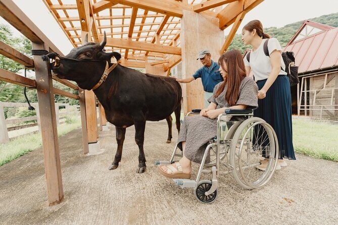 Farm Park Food Education Experience with Tajima Beef - Exploring the Details: What to Expect